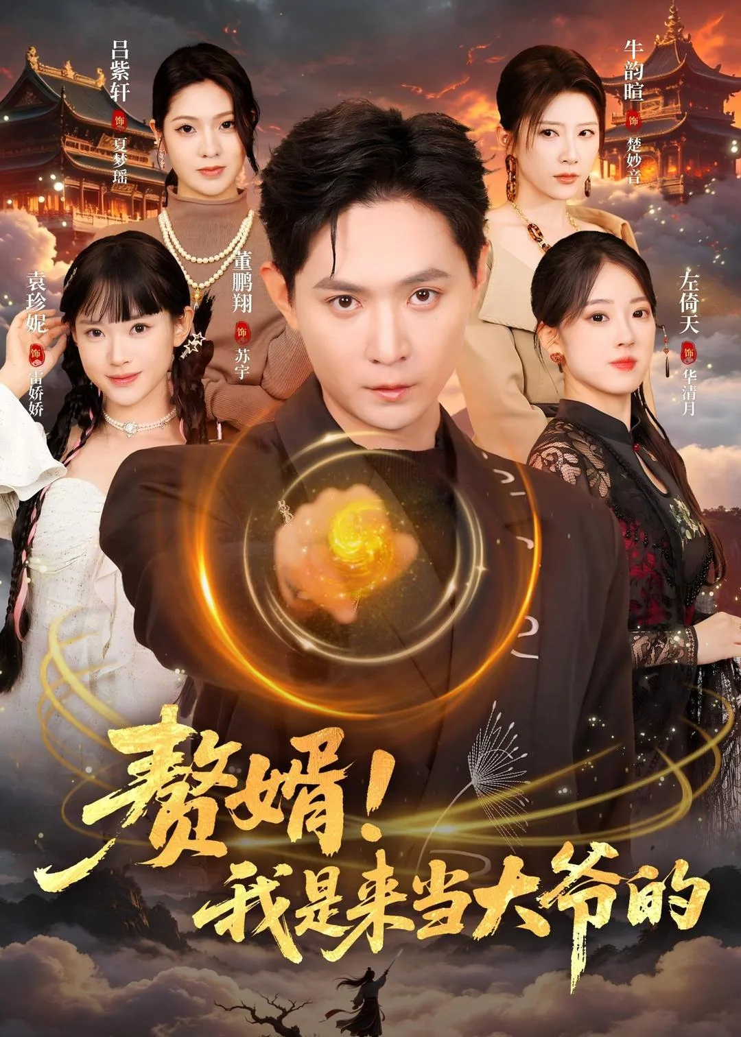 赘婿!我是来当大爷的