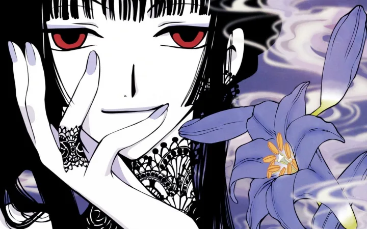 ×××HOLiC 笼